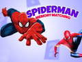Igra Spiderman Igra spomina spletu