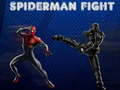 Igra Boj Spiderman spletu