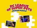 Igra Puzzle DC lige super hišnih ljubljenčkov spletu