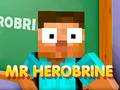 Igra Gospod Mr. Herobrine spletu