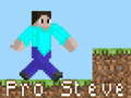 Igra Pro Steve spletu