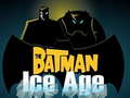 Igra Batman: Ledena doba spletu