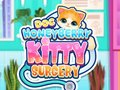 Igra Doktor HoneyBerry Mačja Kirurgija spletu
