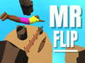 Igra Gospod Mr. Flip spletu