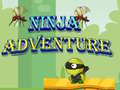 Igra Ninja Pustolovina spletu