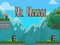 Igra Gospod Mr Macagi spletu