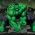 Hulk Hulk na spletu